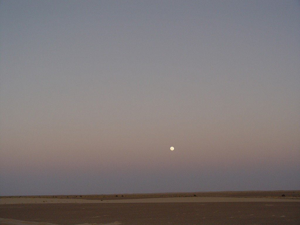 dsc04500.jpg