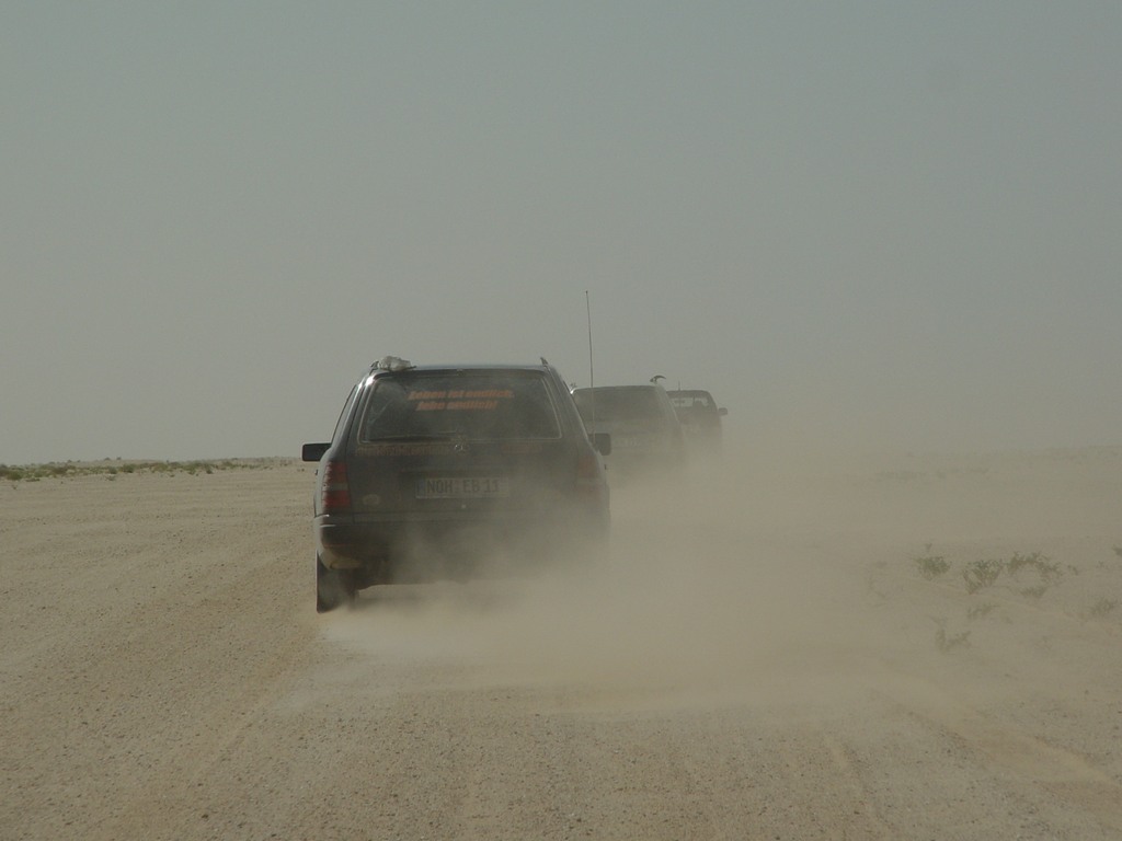 dsc04542.jpg