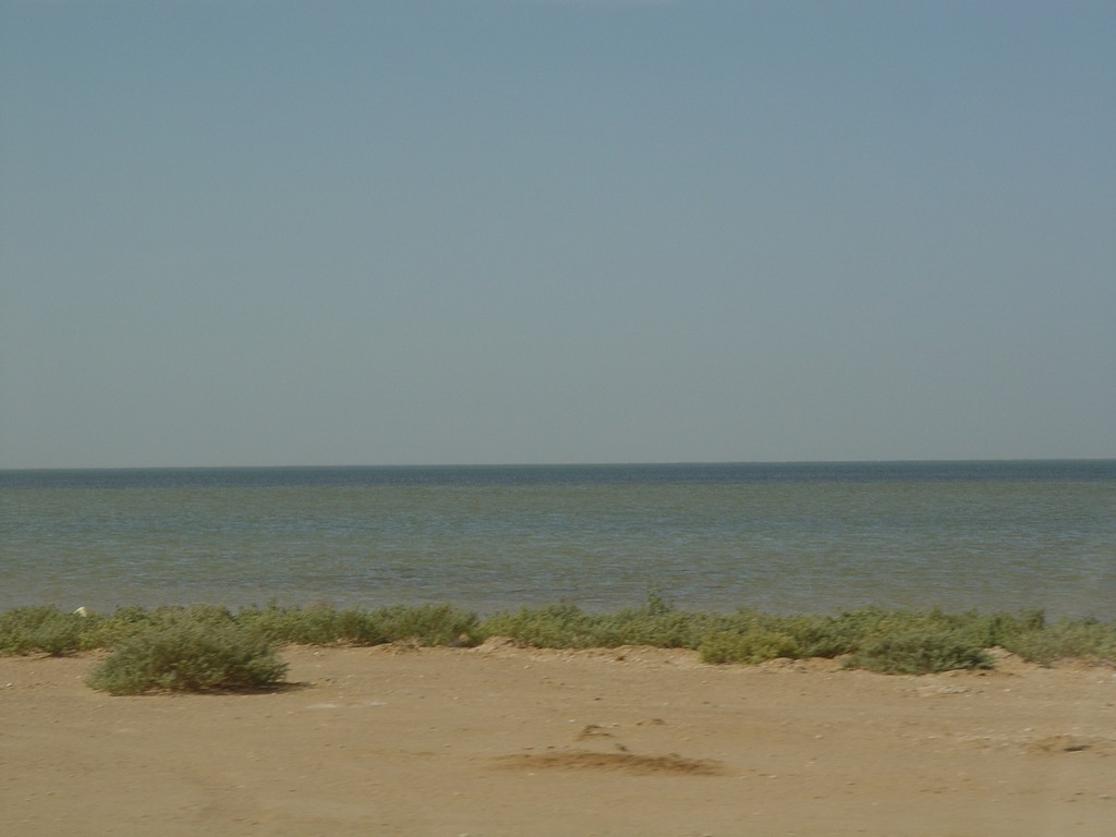 dsc04546.jpg