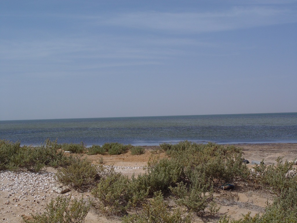 dsc04551.jpg