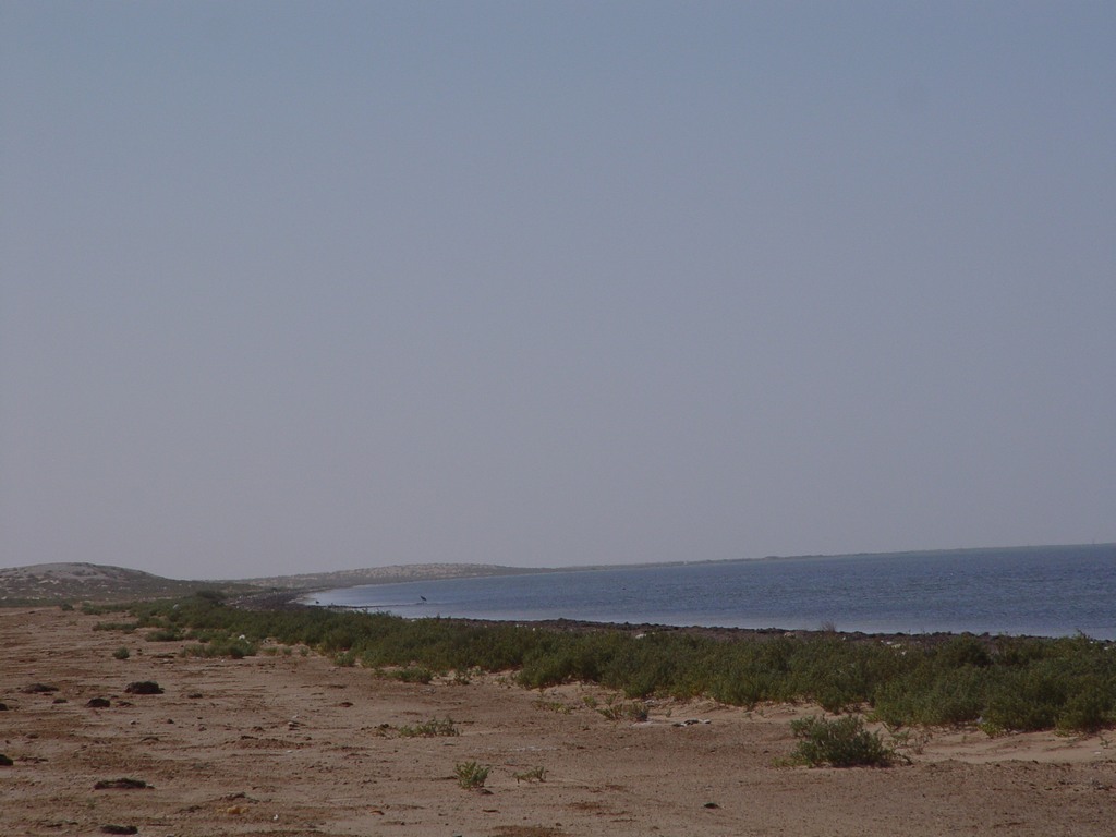dsc04552.jpg