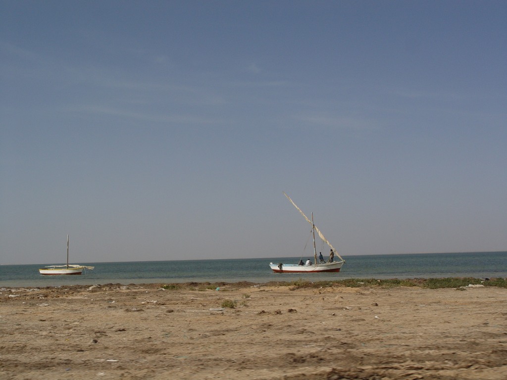 dsc04557.jpg