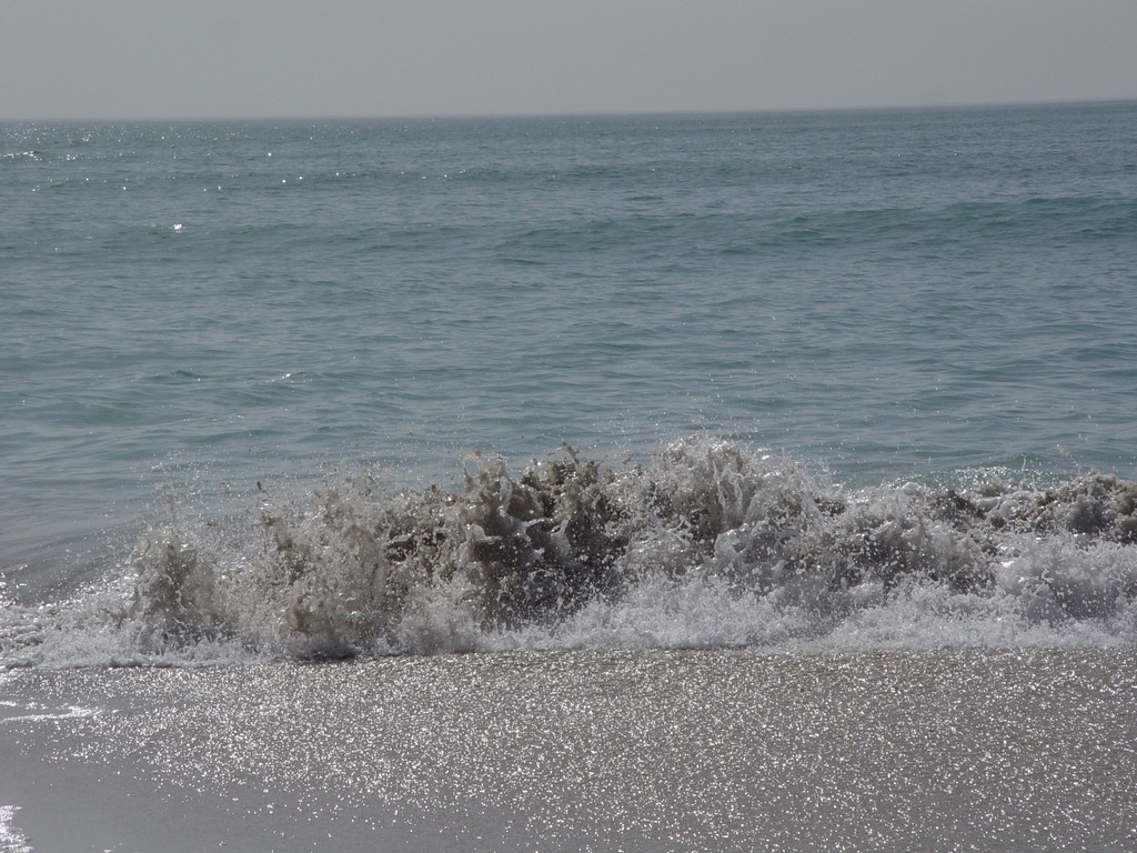 dsc04576.jpg
