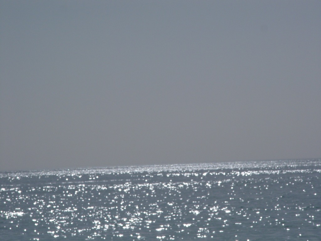 dsc04577.jpg