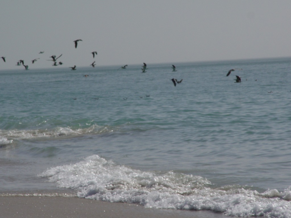 dsc04586.jpg