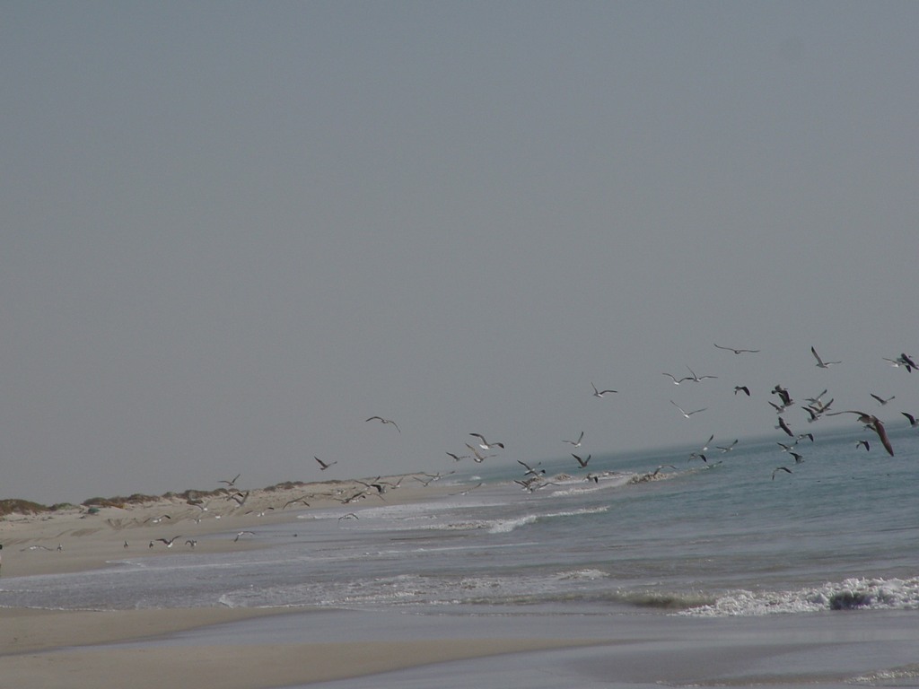 dsc04587.jpg