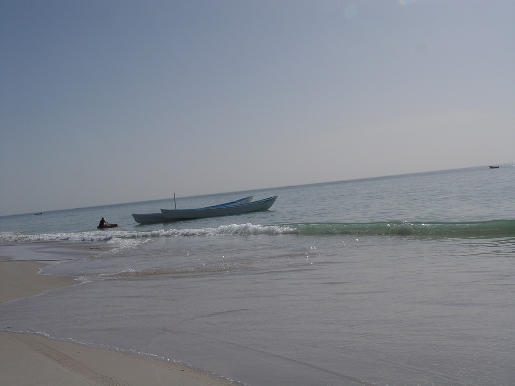 dsc04604.jpg