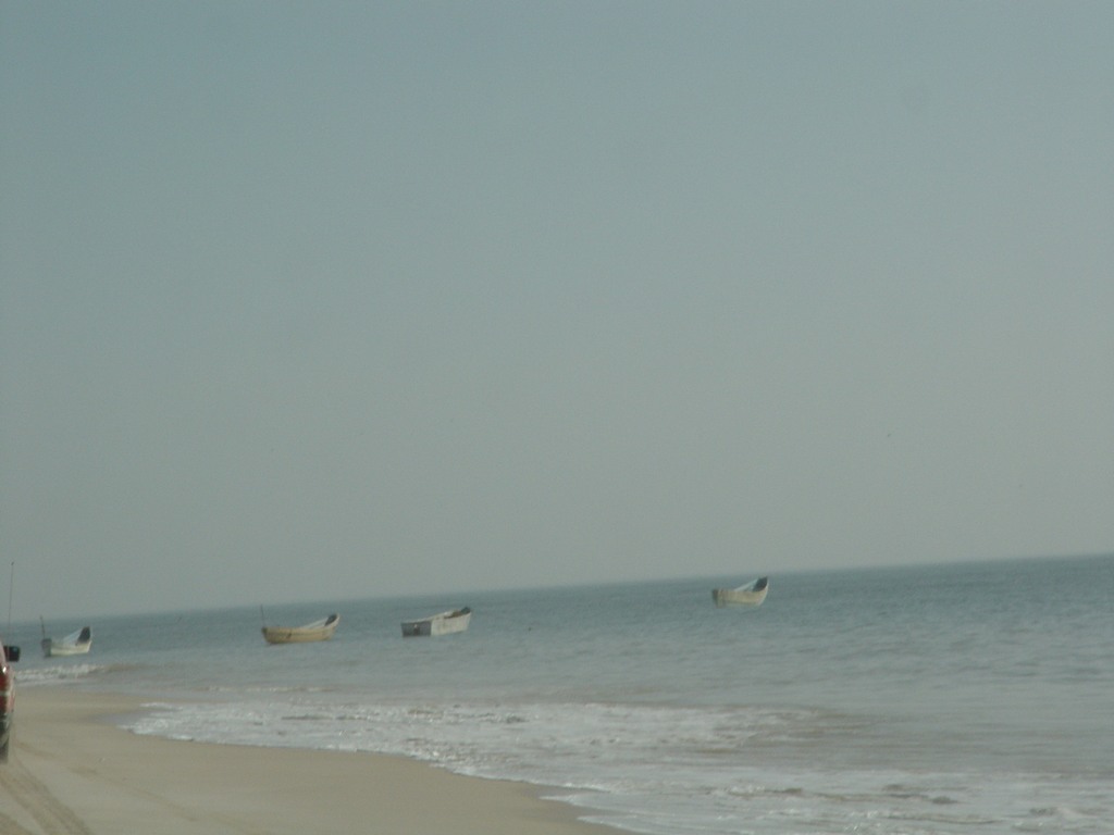 dsc04606.jpg