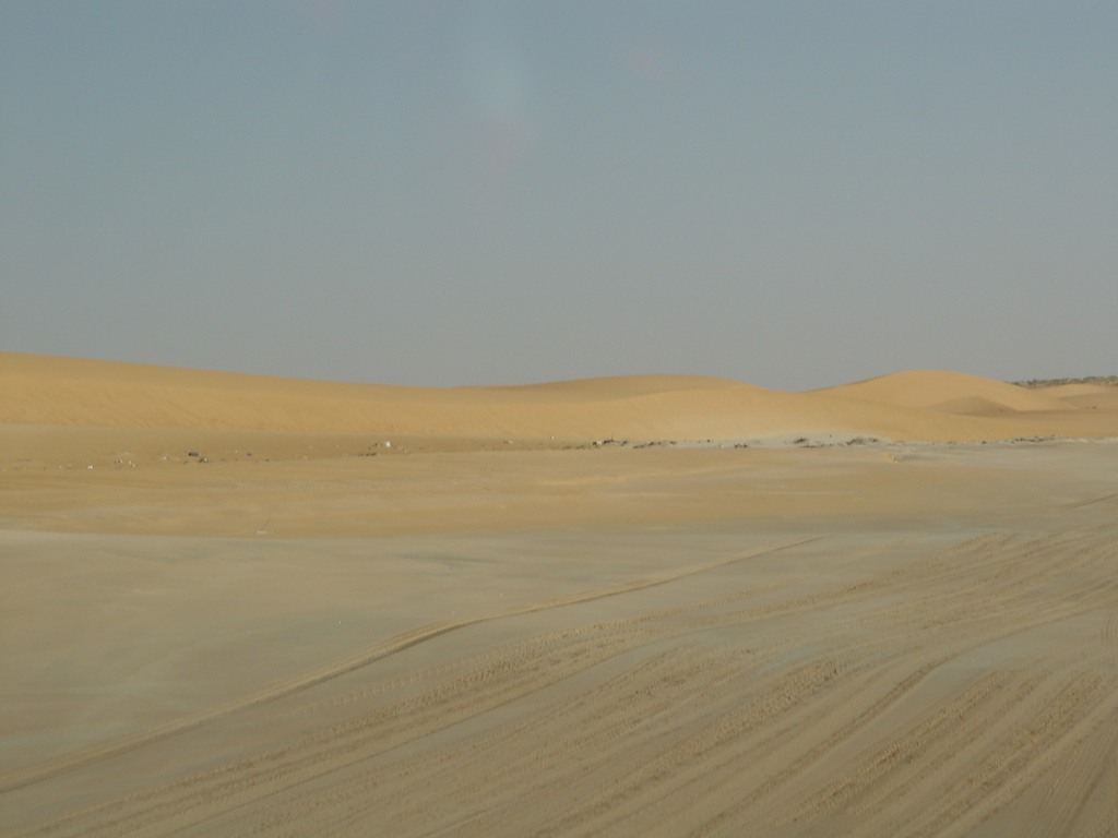 dsc04630.jpg