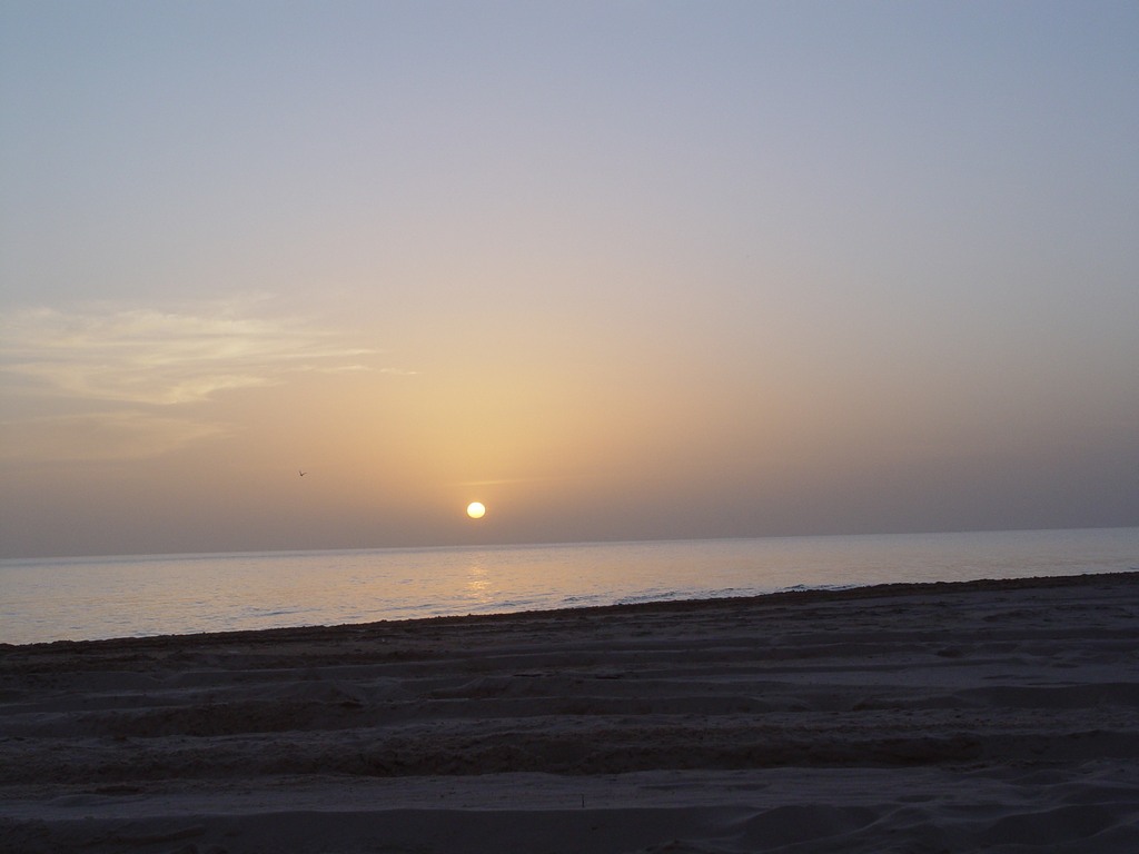 dsc04651.jpg