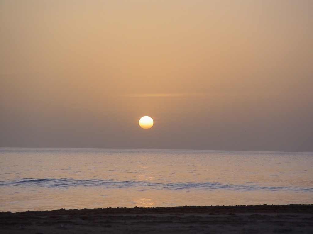 dsc04652.jpg