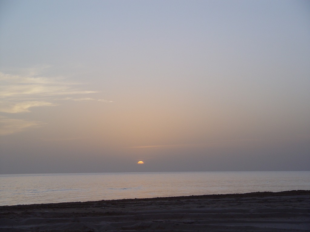 dsc04655.jpg