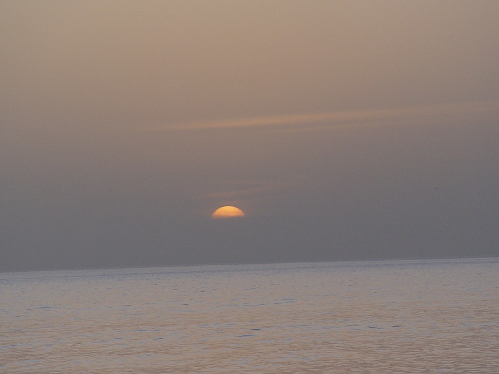 dsc04656.jpg