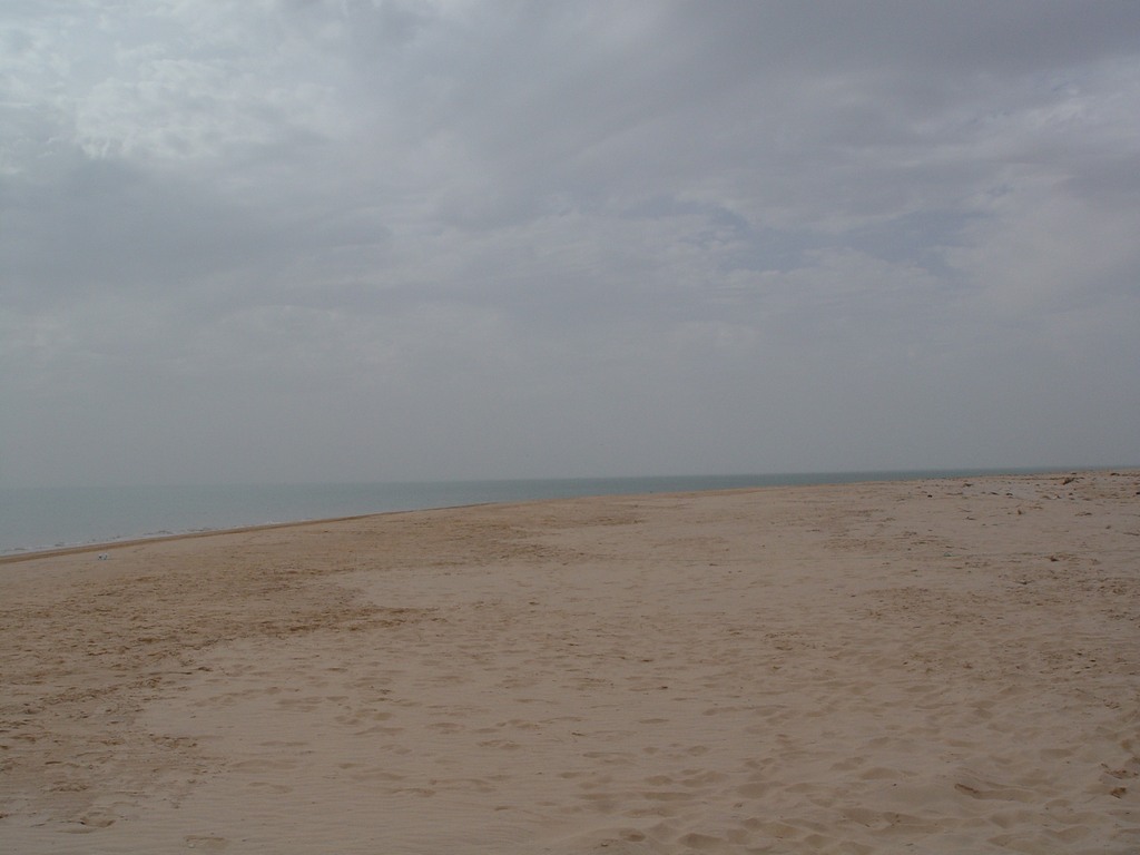dsc04673.jpg