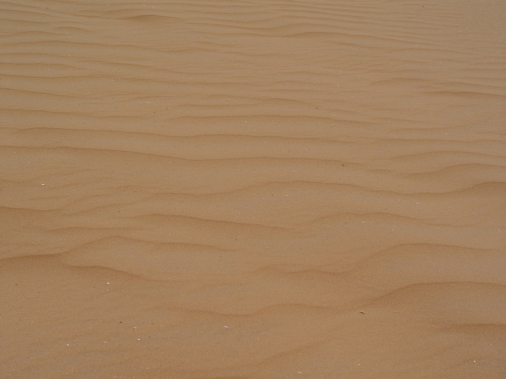 dsc04692.jpg