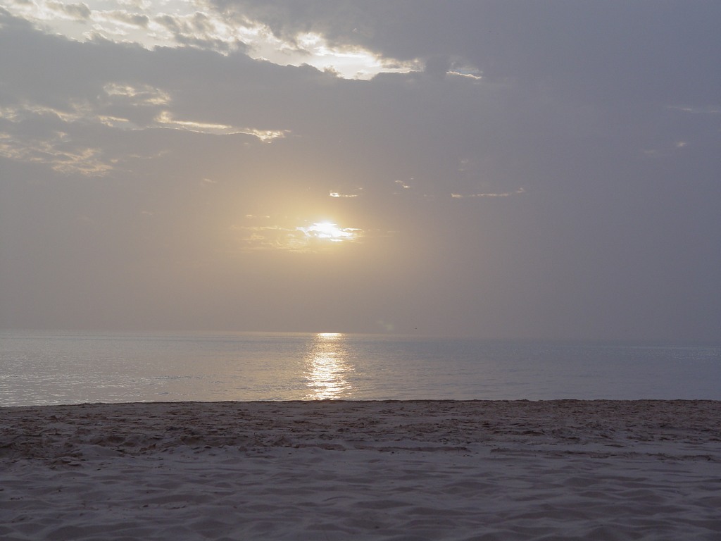 dsc04705.jpg