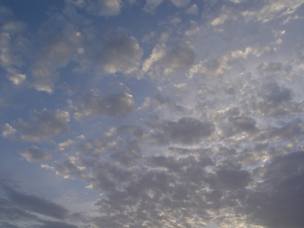 dsc04708.jpg