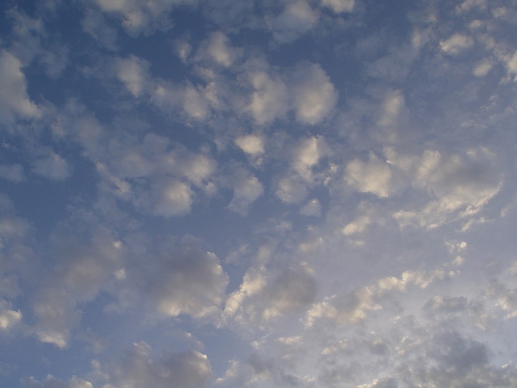 dsc04709.jpg