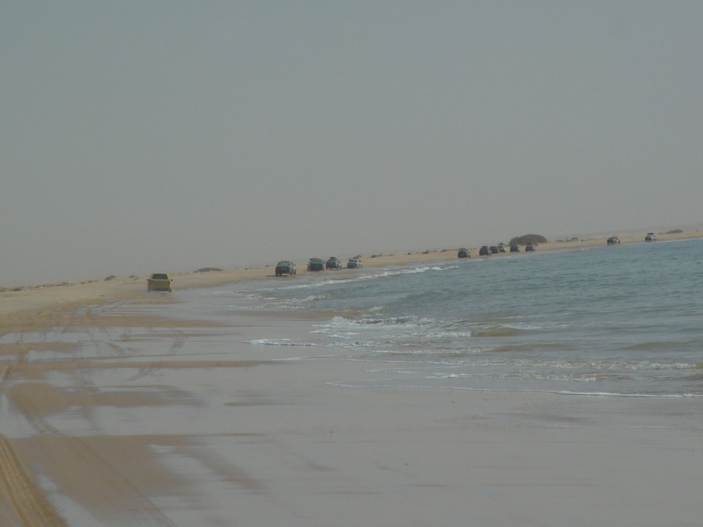 dsc04717.jpg