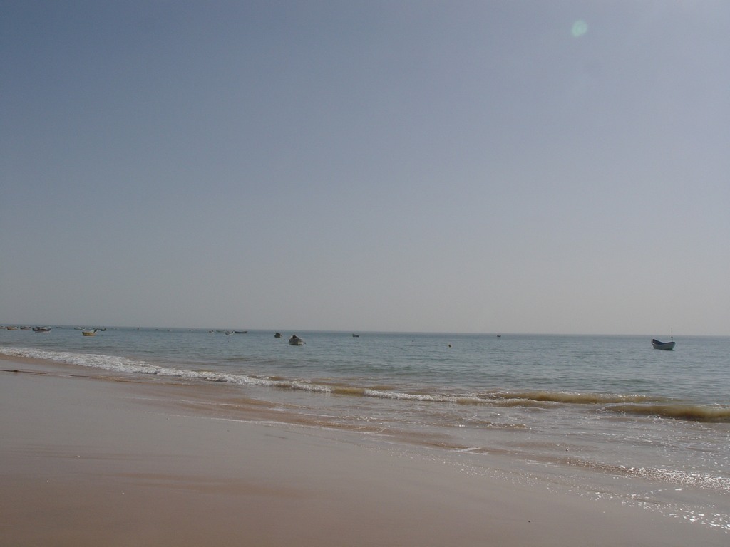 dsc04725.jpg