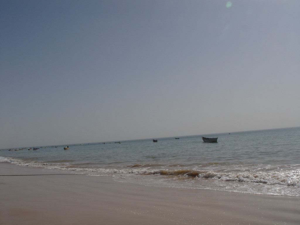 dsc04726.jpg