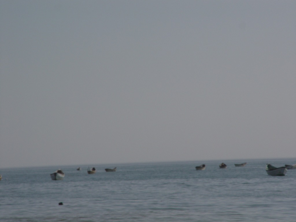 dsc04730.jpg