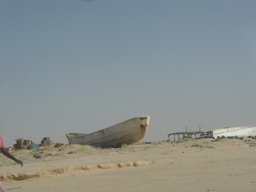 dsc04734.jpg