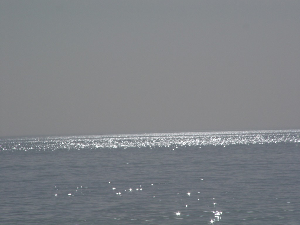 dsc04740.jpg