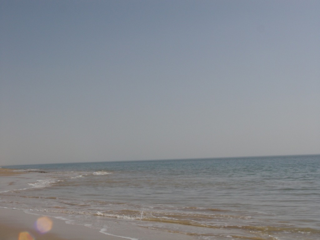 dsc04742.jpg
