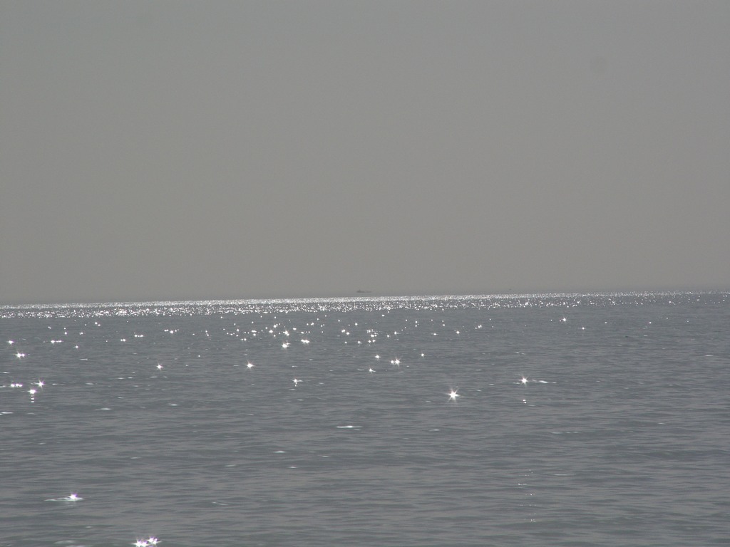 dsc04745.jpg