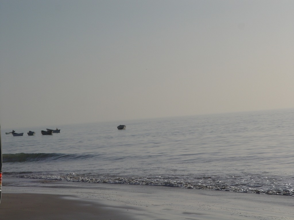 dsc04802.jpg