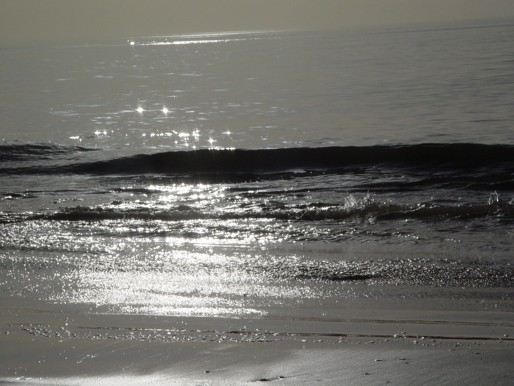 dsc04803.jpg