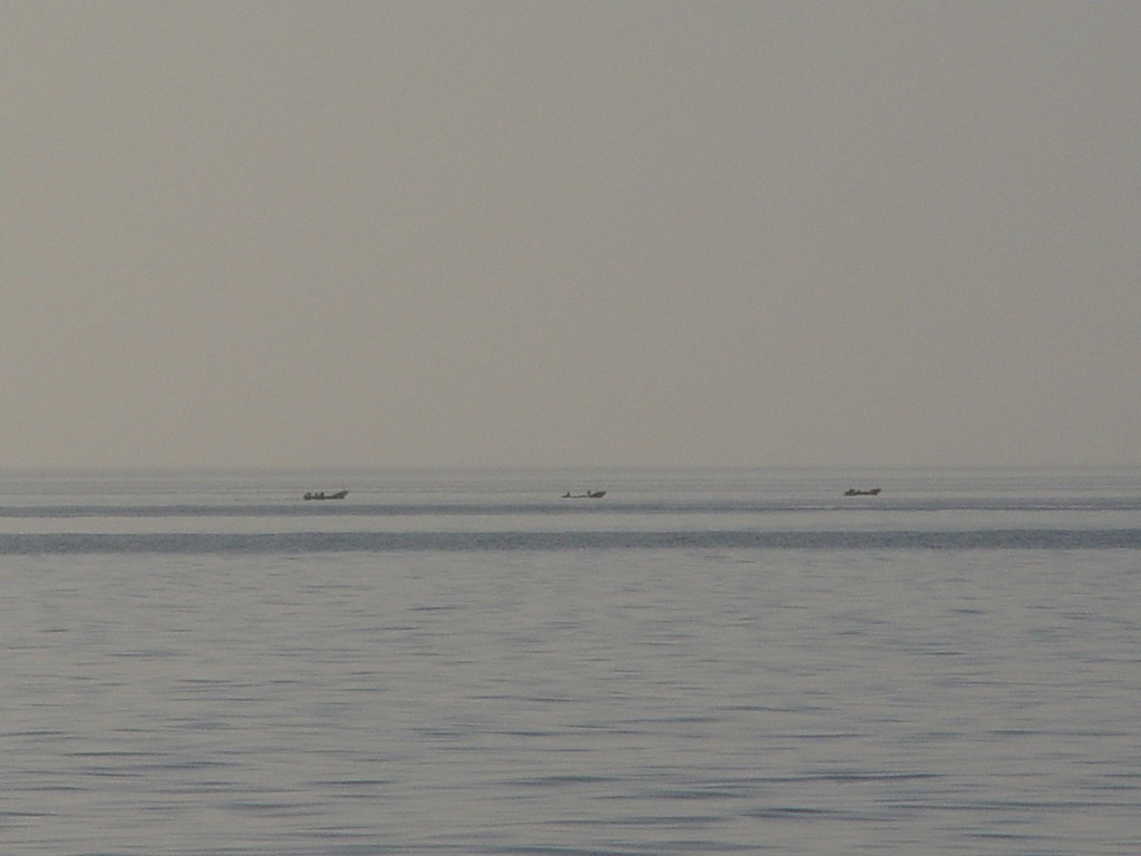 dsc04806.jpg