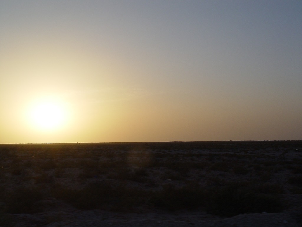 dsc04835.jpg