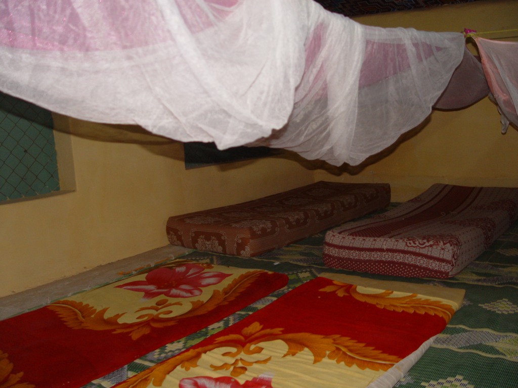 dsc04839.jpg