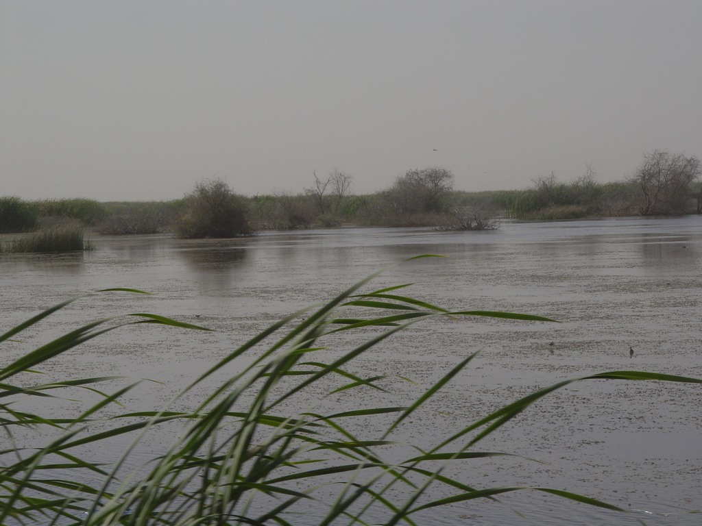 dsc04998.jpg