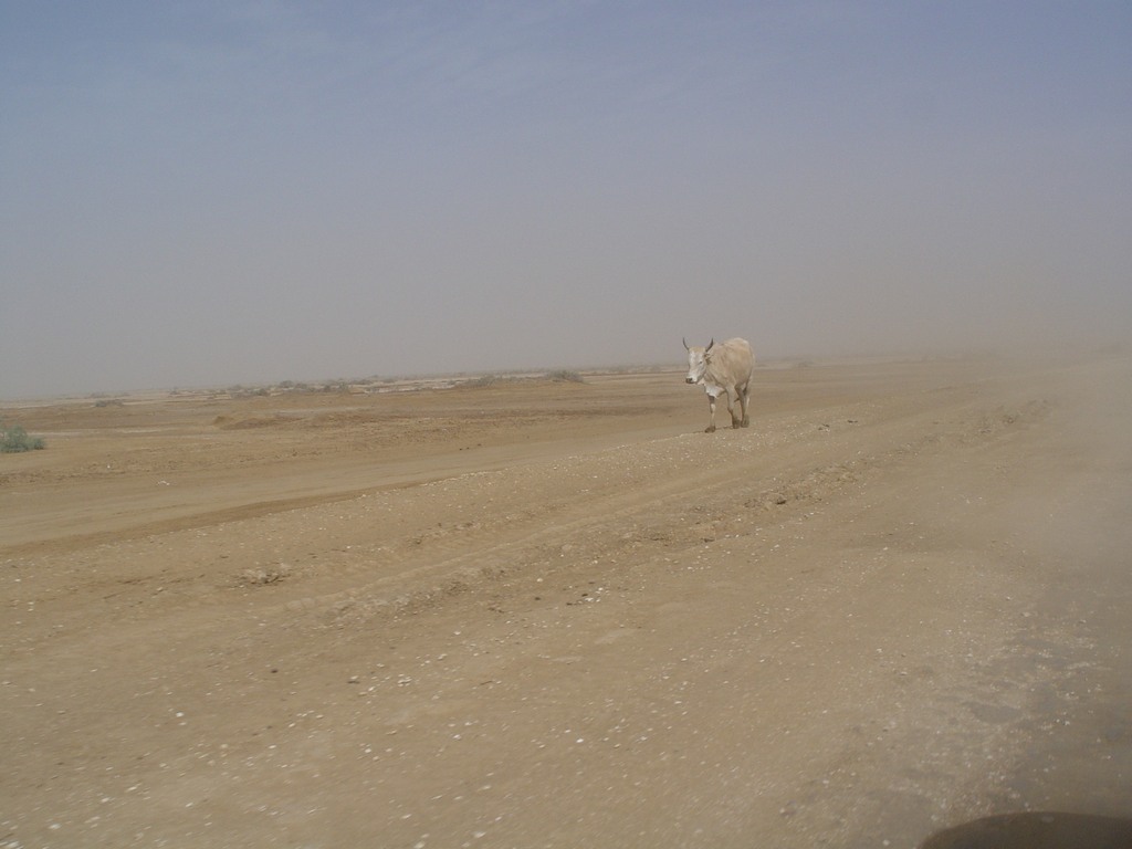 dsc05010.jpg