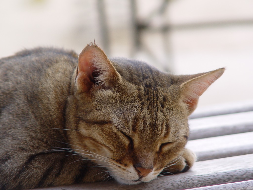 dsc05175.jpg