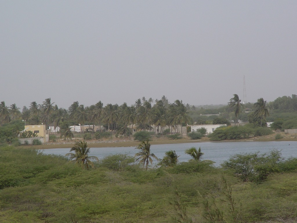 dsc05246.jpg