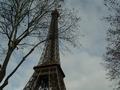 dsc03363.jpg