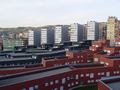 dsc03377.jpg