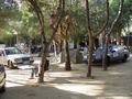 dsc03414.jpg