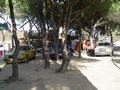 dsc03416.jpg