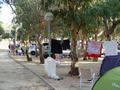 dsc03417.jpg