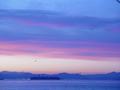 dsc03430.jpg