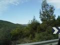 dsc03442.jpg