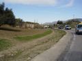 dsc03446.jpg