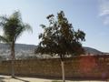 dsc03450.jpg