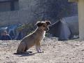 dsc03512.jpg