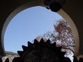 dsc03565.jpg